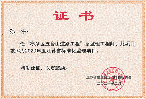 江蘇省標(biāo)準(zhǔn)化監(jiān)理項(xiàng)目_孫偉（2020年度）