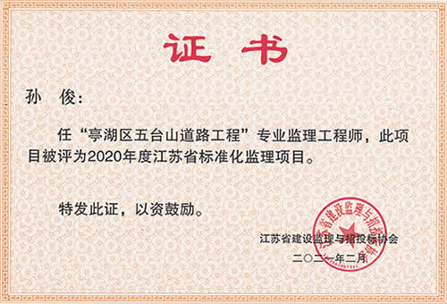 江蘇省標(biāo)準(zhǔn)化監(jiān)理項(xiàng)目_孫?。?020年度）