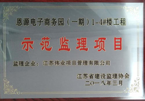 恩源示范監(jiān)理項(xiàng)目獎(jiǎng)牌